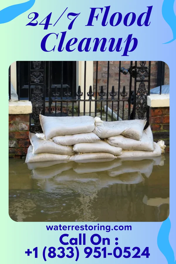 24/7 Flood Cleanup in Domino, TX