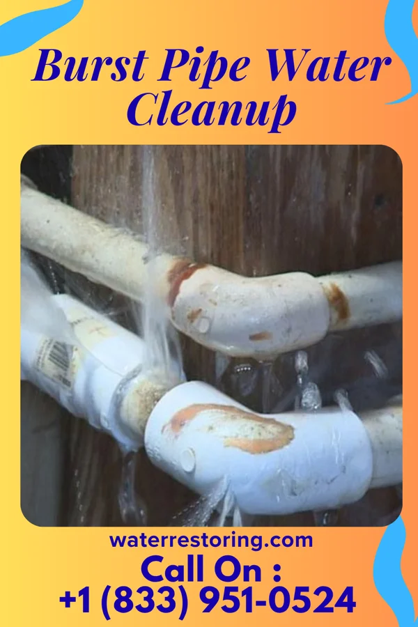 Burst Pipe Water Cleanup in Domino, TX