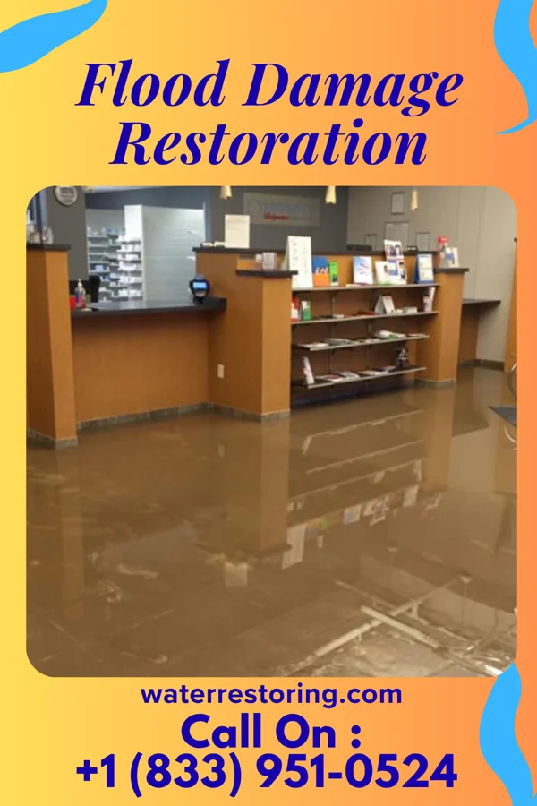 Flood Damage Restoration in Domino, TX