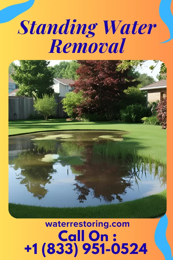 Standing Water Removal in Domino, TX